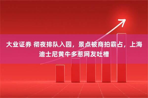 大业证券 彻夜排队入园，景点被商拍霸占，上海迪士尼黄牛多惹网友吐槽