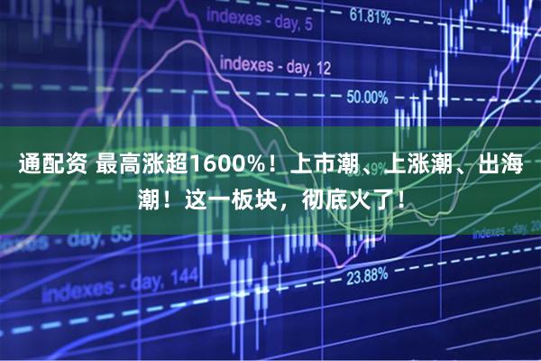 通配资 最高涨超1600%！上市潮、上涨潮、出海潮！这一板块，彻底火了！