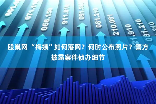 股巢网 “梅姨”如何落网？何时公布照片？警方披露案件侦办细节